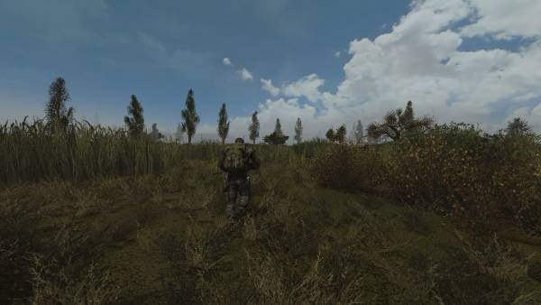 Народная Солянка 2016 (OGSR Edition)