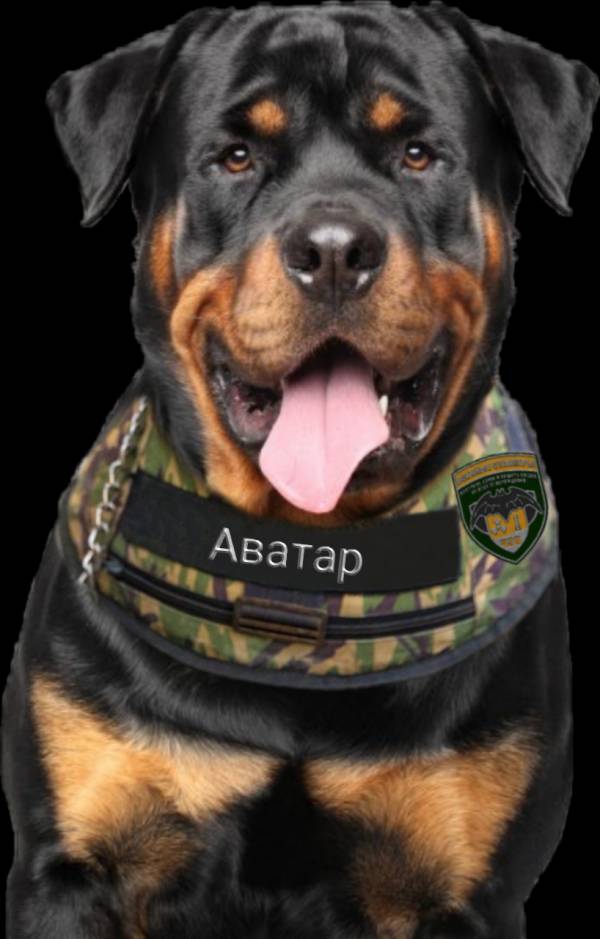 Старшему кинологу КЦ Старшему кинологу КЦ