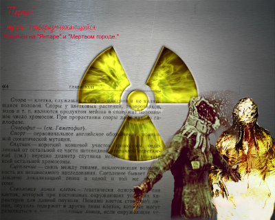 Я, мл. сержант Зорький,