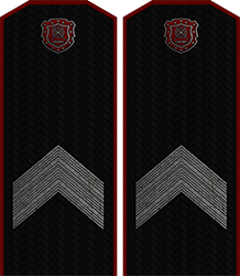 Приказ по группировке №28 от Приказ по группировке №28 от