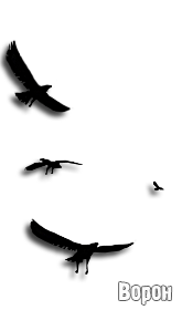 Эмблемы, логотипы и шевроны (Группипировок)