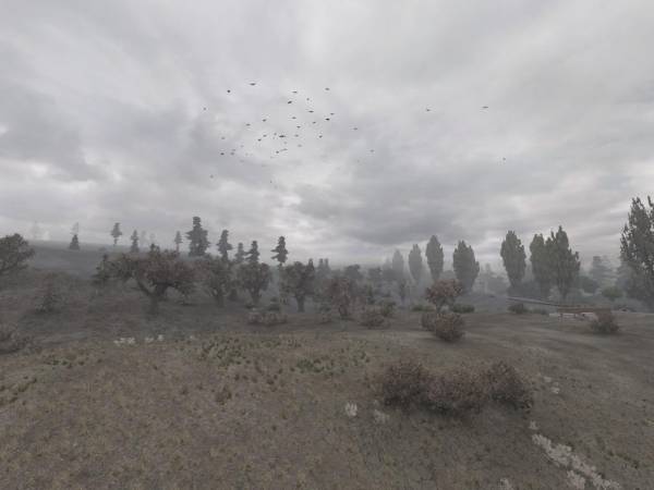 Наёмный оборотень Наёмный оборотень