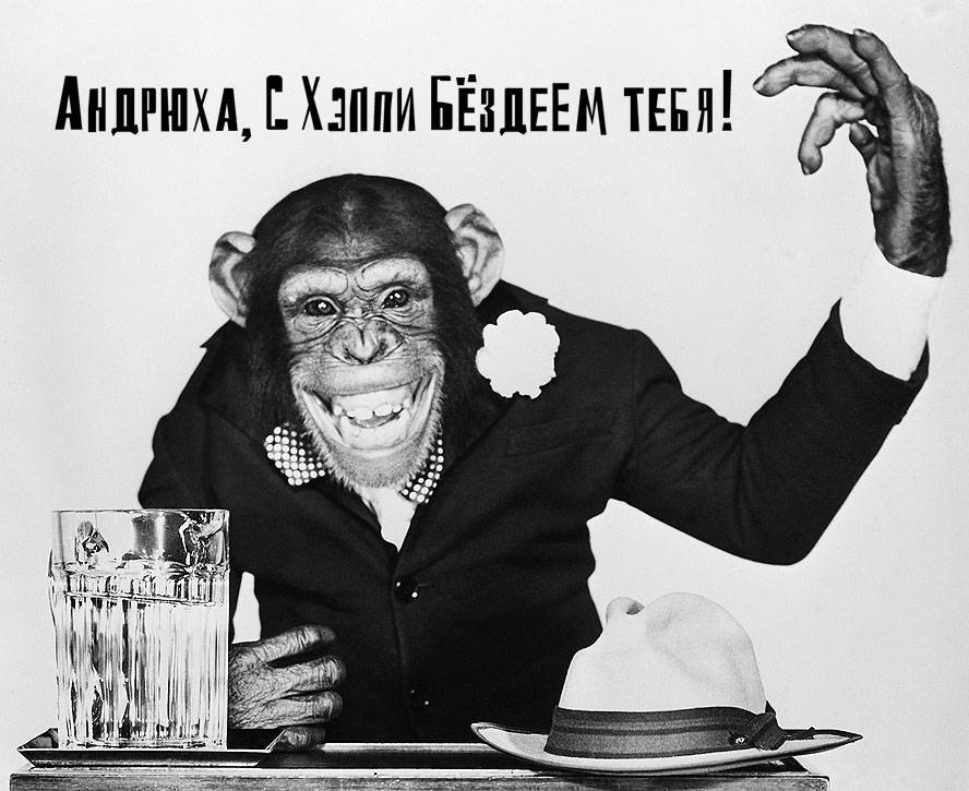 С шестнадцатилетием, Андреич!