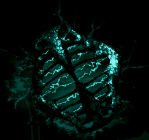 Проведение трансмутации артефактов