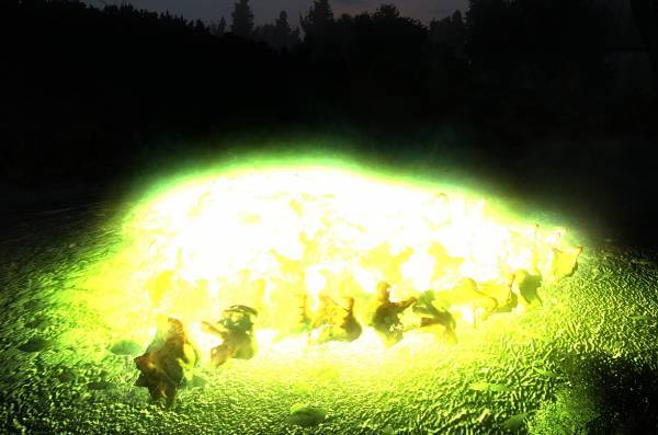 Аномалия Аномалия