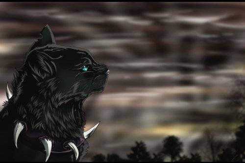 Коты-Воители Коты-Воители