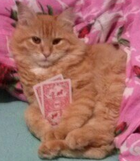 Sid Meier’s Civilization: Beyond Earth