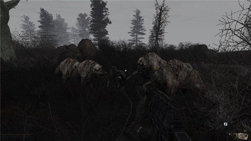 СТАЛКЕР БОГ С НАМИ