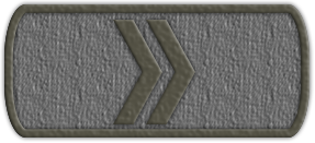 Приказ №19 от 09.06.2021