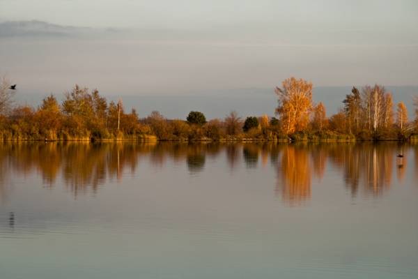 фото Чернобыльской Зоны отчуждения фото Чернобыльской Зоны отчуждения
