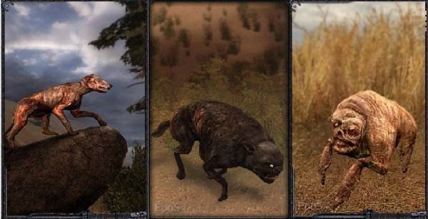 Смотровая вышка.