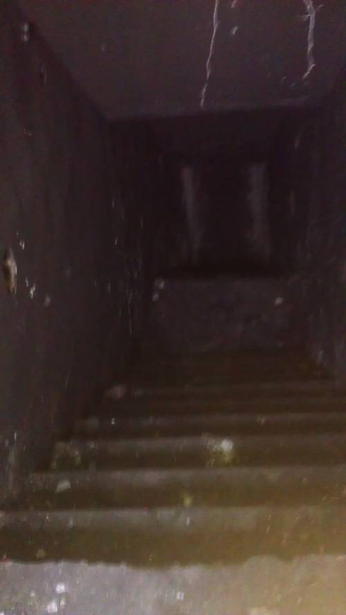 Вылазка на заброшенную территорию завода