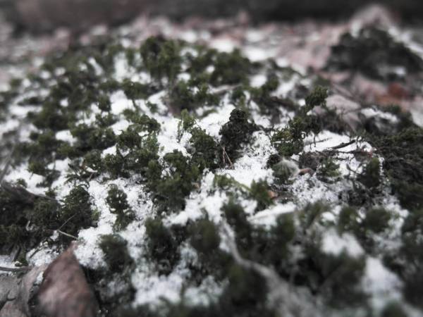 Затерянные