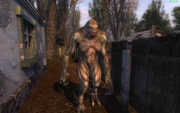 Библиотекарь.