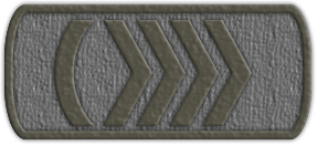 Приказ №19 от 09.06.2021