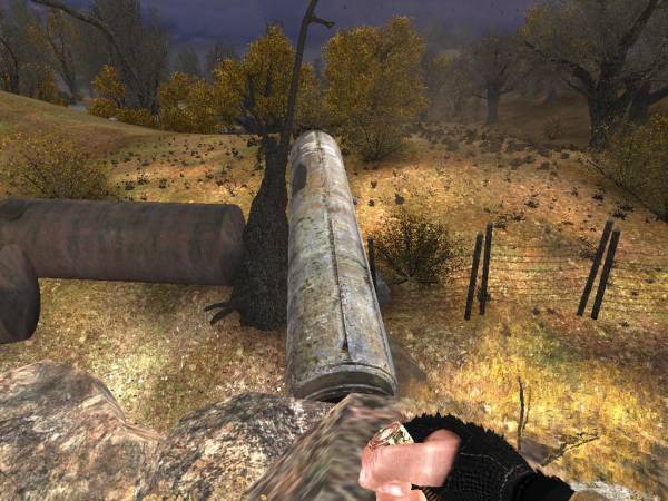 Жизнь Стрелка