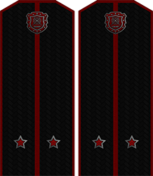 Приказ по группировке №28 от Приказ по группировке №28 от