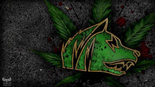 Я Феникс, прибыл на обучение Я Феникс, прибыл на обучение