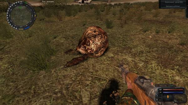 Мой день в Зоне. Рассказ сталкера zZz-95z.