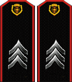 Приказ #1 от