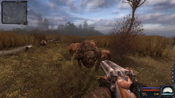 Процесс выполнения Процесс выполнения