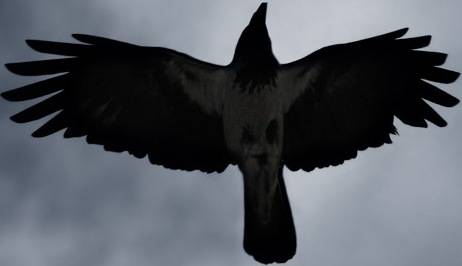 Военный городок - (Большая земля) 