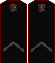 Приказ по группировке №28 от Приказ по группировке №28 от