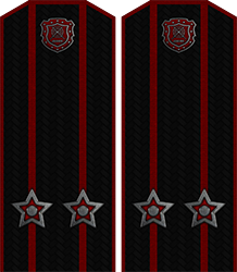 Приказ по группировке №28 от Приказ по группировке №28 от