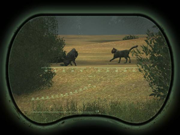 Кошки и собаки – не Кошки и собаки – не