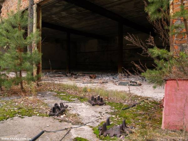 фото Чернобыльской Зоны отчуждения фото Чернобыльской Зоны отчуждения