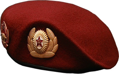 Подразделение специального назначения «Беркут» (набор закрыт, расформировано) Подразделение специального назначения «Беркут» (набор закрыт, расформировано)