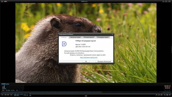 Daum PotPlayer 1.5.45955 Stable RePack & Portable
