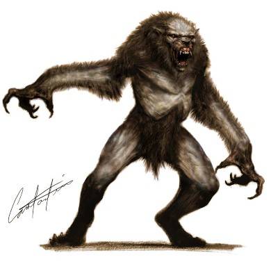 Заповедник ДОЛГ`а