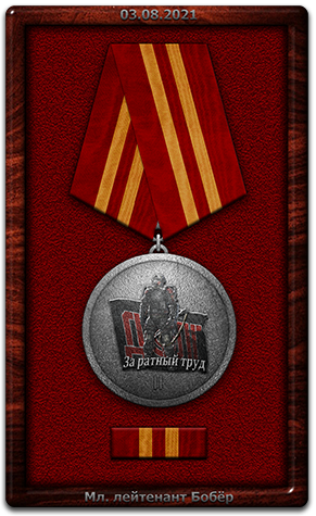 Старший прапорщик Дигерок, Старший прапорщик Дигерок,