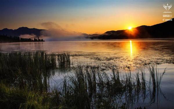 Spoiler: Highlight to view
Spoiler: Highlight to view