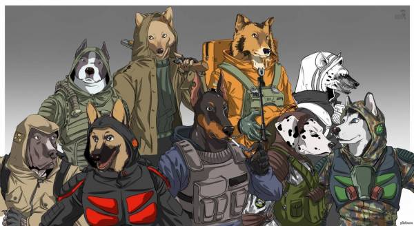 Свободные сталкеры, ветераны