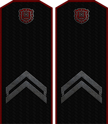 Приказ по группировке №28 от Приказ по группировке №28 от