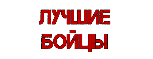 Академия группировки "ДОЛГ"