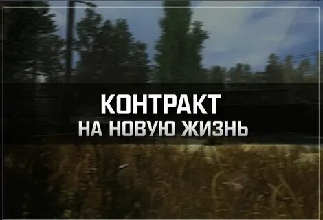 Контракт на новую жизнь