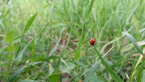 Фото Конкурс