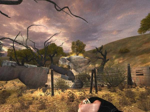 Жизнь Стрелка