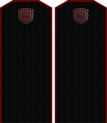 Приказ по группировке №28 от Приказ по группировке №28 от