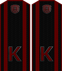 Приказ по группировке №28 от Приказ по группировке №28 от