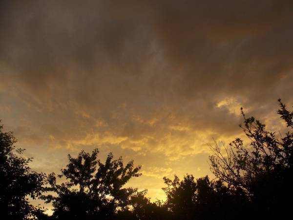 А вот мои доморощенные снимки А вот мои доморощенные снимки