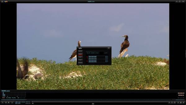 Daum PotPlayer 1.5.45955 Stable RePack & Portable