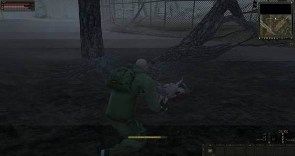 Новый Stalker Online.Пилотный выпуск...