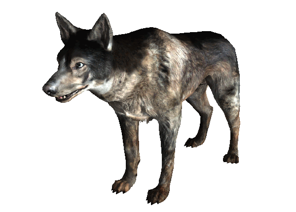 Напарники в Fallout 3