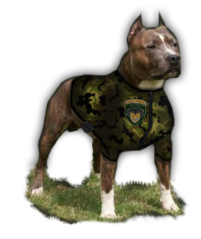 Старшему кинологу КЦ Старшему кинологу КЦ