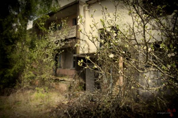 фото Чернобыльской Зоны отчуждения фото Чернобыльской Зоны отчуждения