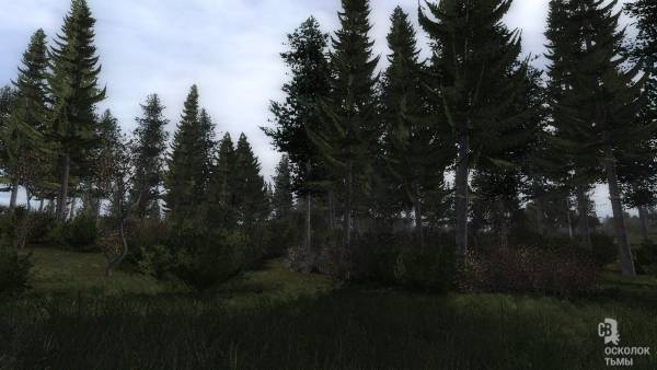 Смерти Вопреки 3. Осколок Тьмы - разработка